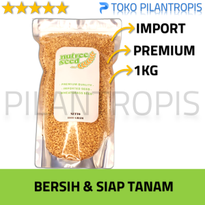 BENIH WHEATGRASS 1000GR 1KG BIBIT RUMPUT GANDUM UNTUK KUCING BIJI WHEAT GRASS MICROGREEN SEED CAT GRASS IMPOR MURAH