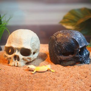 DEQIX Simulation Skull Head Ornament Resin Decorative Skull Head Statue Fish Shrimp Hiding Cave Realistic Skull Fish Hideout Fish Tank