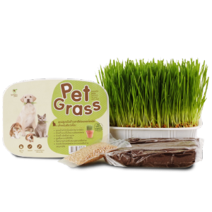 Pet Grass ผลิตภัณฑ์เสริมอาหาร ชุดปลูกต้นข้าวสาลีอ่อนออร์แกนิค สำหรับสัตว์เลี้ยง