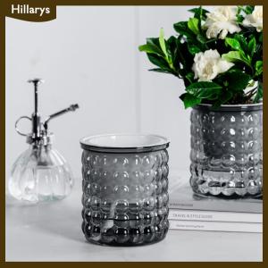 [Hillarys] กระถางต้นไม้พลาสติกใสรดน้ำด้วยตัวเองขนาดเล็กสำหรับตกแต่งบ้าน