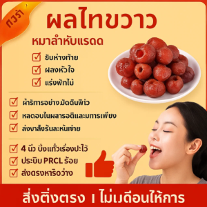 อาหารเพอร์สเลน ไม่มีแกนกลาง ของว่างน้ำผึ้ง วัตถุดิบที่ดี ผู้ที่มีสุขภาพดี คงรสชาติหวานอมเปรี้ยว