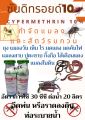 สารแทน โฟลิดอน กำจัดมด แมลงคลาน แมง มดแดง มดคันไฟ เห็บ ไร แมลงสาบ ไส้เดือน หนอน ปู กิ้งกือ ตะขาบ ยาน๊อค ถูกตัวตาย ซันดิทรอยด์10 แท้ชัวร์. 
