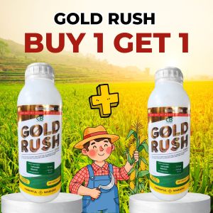 [BUY 1 GET 1] Gold Rush 370 SC Insecticide for Rice 1000ML – Effective Pest Control for Planthoppers & Black Bugs App