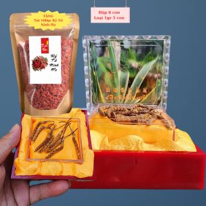 Hộp 8 con nhỏ Đông Trùng Hạ Thảo Tây Tạng khô thiên nhiên loại 1gram trung bình 5 con