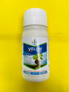 Nematisida VELUM PRIME 400SC dari BAYER