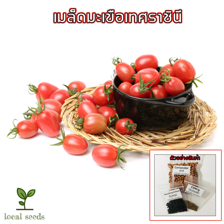 7 อันดับเมล็ดพันธุ์ผักยอดนิยม ปลูกง่าย โตไว อัปเดตปี 2025