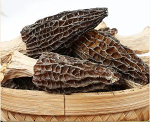 Chinese Herbs Herbal Medicine 羊肚菌 Dry Good Morchella Soup Mushroom Soup Material 中药材 干货 菌类 煲汤食材 YC41