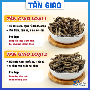 Tần giao chuẩn xịn 100g hàng nguyên củ khô thơm sạch - Thảo Dược Hạnh Nguyên