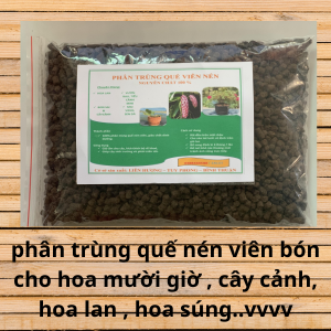 Phân trùng quế viên nén viên bón hoa lan hoa mười giờ cây cảnh