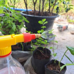 หัวฉีดน้ำ หัวฉีดแอลกอฮอล หัวพ่นยาทรงกระบอก หัวปรับระดับได้