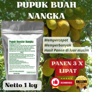 Pupuk Booster Nangka Pelebat Organik Cepat Berbuah Lebat Besar Anti Rontok Pembesar Nangka