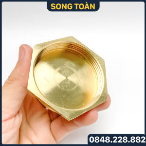 Đầu Bịt Ren Trong Nút Bịt Ren Đồng Thau 42 49 60 - Brass Pipe Plug Cap Female