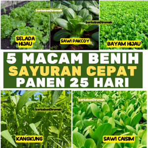 Paket Benih Sayuran Organik Cepat Hidroponik - Bayam/Selada/Pakcoy/Kangkung/Caisim
