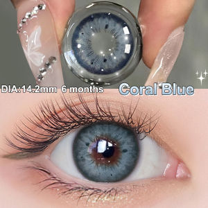 【Natural Pupil Dilation 14.2mm】Magister Contact Lens 1Pair(2Pcs) Brown Gray Blue Coloured Contact Lenses Non-Grade for Women Girls Eyes Makeup