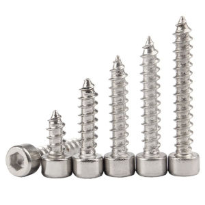 M1.7 M2 M2.3 M2.5 M3 M3.5 304 Stainless Steel Allen Hex Hexagon Socket Cap Head Wood Self Tapping Screw