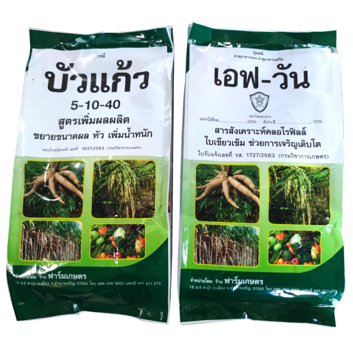 %E0%B8%97%E0%B8%B5%E0%B9%88%E0%B8%AA%E0%B8%B8%E0%B8%94%E0%B8%82%E0%B8%AD%E0%B8%87%20%E0%B8%9B%E0%B8%B8%E0%B9%8B%E0%B8%A2%E0%B9%80%E0%B8%A3%E0%B9%88%E0%B8%87%E0%B8%9C%E0%B8%A5%20%E0%B8%AA%E0%B8%B3%E0%B8%AB%E0%B8%A3%E0%B8%B1%E0%B8%9A%E0%B8%9E%E0%B8%B7%E0%B8%8A%E0%B8%AD%E0%B8%AD%E0%B8%81%E0%B8%9C%E0%B8%A5%E0%B8%97%E0%B8%B8%E0%B8%81%E0%B8%8A%E0%B8%99%E0%B8%B4%E0%B8%94%20%E0%B9%83%E0%B8%AB%E0%B9%89%20%E0%B9%82%E0%B8%9E%E0%B9%81%E0%B8%97%E0%B8%AA%E0%B9%80%E0%B8%8B%E0%B8%B5%E0%B8%A2%E0%B8%A1%20%E0%B8%A1%E0%B8%B2%E0%B8%81%E0%B8%96%E0%B8%B6%E0%B8%87%2040%25%20%E0%B9%80%E0%B8%A3%E0%B9%88%E0%B8%87%E0%B8%9C%E0%B8%A5%E0%B9%82%E0%B8%95%20%E0%B8%99%E0%B9%89%E0%B8%B3%E0%B8%AB%E0%B8%99%E0%B8%B1%E0%B8%81%E0%B8%94%E0%B8%B5%20%E0%B9%82%E0%B8%9B%E0%B8%A3%E0%B8%94%E0%B8%AD%E0%B9%88%E0%B8%B2%E0%B8%99%E0%B8%A7%E0%B8%B4%E0%B8%98%E0%B8%B5%E0%B9%83%E0%B8%8A%E0%B9%89%20-%20Image%202