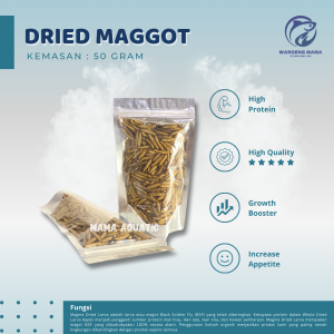Dried Maggot Kering 100 gram Grade A Pakan Ikan Koi Channa Oscar Arwana Louhan Reptil Burung