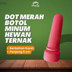 Dot Pedet Anak Sapi Cempe Kambing Domba merah