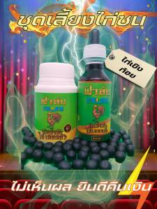 บำรุงไก่ชน