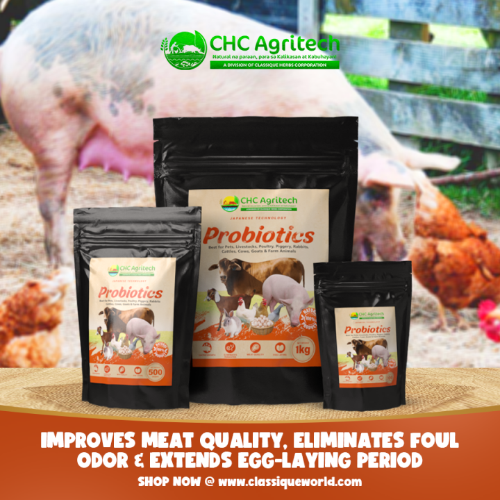 PROBIOTICS%20500g%20CHC%20Agritech%20for%20livestock;%20poultry;%20exotic%20birds;%20pigeons;%20dogs%20&%20other%20pets%20%20CHC%20AGRITECH%20PROBIOTICS%20-%20Image%205