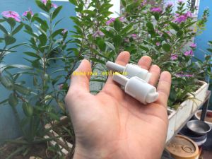 [CHÍNH HÃNG] Chốt nắp bệt (bồn cầu) INAX đầy đủ các mã chốt nắp êm xịn