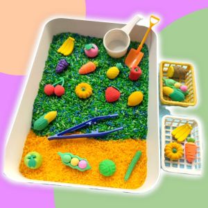 Sensory Tray Mini Garden / DIY Mini Garden / Sensory box untuk usia 3-4 tahun
