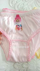 CELANA DALAM ANAK 1LUSIN UKURAN SMLXL BAHAN TEBAL