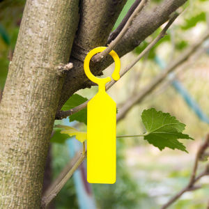 Plant Label Name Tag Hanging Ring Name Tag Pohon Waterproof / Label Tag Tanaman / Label PH C1164