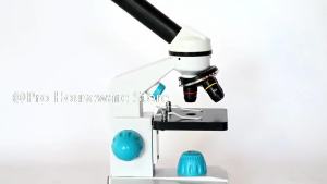 2000x Biological HD Microscope Digital Laboratory Compound Microscope With Wide-Field 10x And 40x Eyepieces For Lab Education