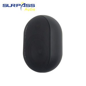 30W Wall-mounted Speaker Waterproof IP55 Public Address System Audio Passive Woofer Tweeter Background Music Pa Loudspeakers