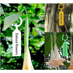 Bartley-lz แท็กต้นไม้ ป้ายแท็ก ป้ายแขวนต้นไม้ แบบแขวน แผ่นหนา(100ชิ้น) กันน้ำ ป้ายชื่อพลาสติก ตกแต่งสวน