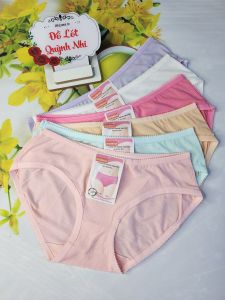 Combo 10 Quần Lót Nữ Thun Lạnh Gân Siêu Mát Co Giãn Thoáng Mát Thích Hợp Cho Các Bạn Nữ Từ Size :50 - 65 Kg [833] - Đồ Lót Quỳnh Nhi