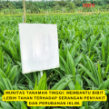 Pupuk daun untuk bibit sawit,Pupuk semai bibit sawit,Pupuk bibit sawit,Pupuk cair untuk bibit sawit. 