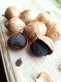 Black Garlic / Bawang Hitam Tunggal HERBAL BERMACAM KHASIAT - BAWANG TUNGGAL HITAM PREMIUM. 