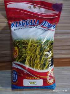 BENIH PADI VARIETAS INPARI 49 TERBARU