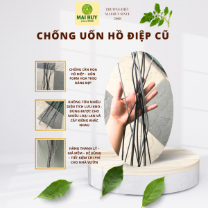 THANH LÝ CÂY CHỐNG & UỐN HỒ ĐIỆP – SẮT CỨNG SẮT MỀM - COMBO 50 CÂY LỘN XỘN - MAI HUY SINCE 2008