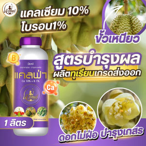 สูตรบำรุงผล ผลิตทุเรียนเกรดส่งออก เกษตรกรเลือกใช้ แคลเซียม โบรอน ขั้วเหนียว ลดการหลุดร่วง ดอกไม่ฝ่อ เพิ่มการติดดอก บำรุงเกสร เร่งขยายผล (ขนาด 1ลิตร)
