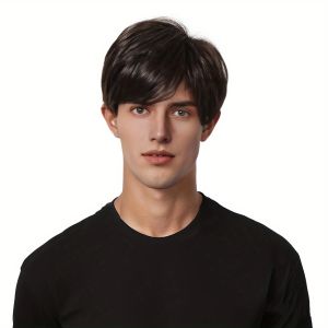 Independent Stations new partial black short hair mens wig full head cover Korean version fluffy short straight wig