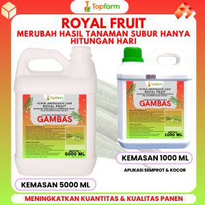 Pupuk Topfarm / Pupuk Pelebat Buah Gambas / Pupuk Pelebat Buah Oyong / Pupuk Khusus Gambas Oyong / Pupuk Buat Oyong Emes / Pupuk Booster Oyong / Pupuk Sayuran Oyong