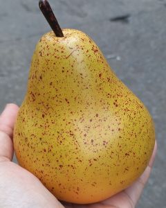 1 Trái lê giả 10cm như thật - Trái cây giả - TUYET XUAN SHOP