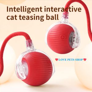 Đồ chơi Mèo quả bóng dây lăn tự động cổng sạc USB - Love Pets Shop