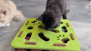 Felt Cat Puzzle Box With 3 Balls Interactive Pet Teasing Bell Maze Felt Splicing Box Cat Toy