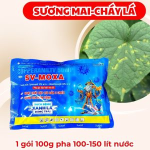 SV-MOXA Kiểm Soát Sương Mai Dưa Leo - Đốm Lá Dưa Leo - Cháy Lá Dưa Leo - Nấm Bệnh Lá Dưa Leo