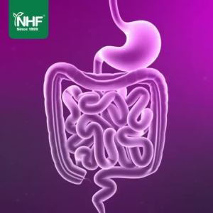 NHF 18 Strains Probiotics 30 Billion CFU HALAL Probiotik Gut Health Immune system 益生菌 HALAL – Usus & Imun