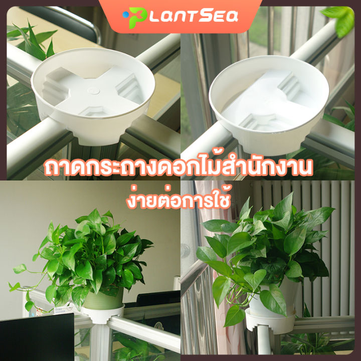 จานรองกระถาง 6 นิ้ว มีร่องระบายน้ำ วางบนโต๊ะได้