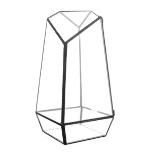 Glass Terrarium Box Succulent Flower Room Container Glass Geometric Micro View Tank