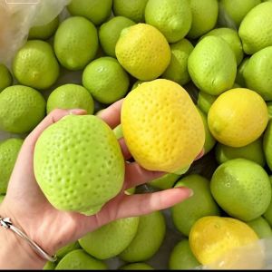 WARM Handmade Mango Squeeze Toy Color Changing Color-Changing Lemon Stress Ball Squeezing Toy Soft Simulation Fruit Pinch Fidget Toy