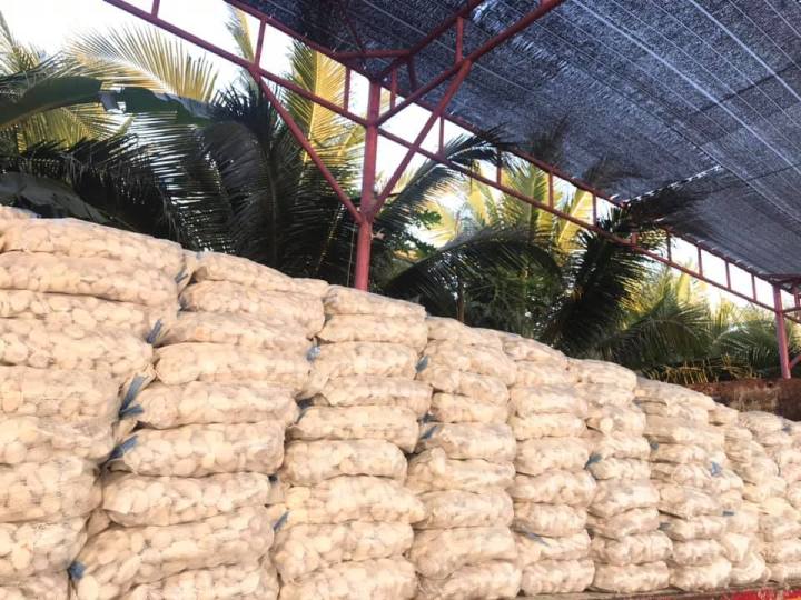 หินประดับสวนสีขาวธรรมชาติ คละเม็ดกลมและแตก 6-7 กิโลกรัม