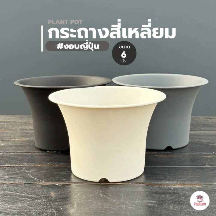 กระถางพลาสติก #งอบญี่ปุ่น สำหรับแคคตัสและไม้อวบน้ำ ขนาด 6 นิ้ว