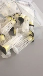 Kurungan Ratu Lebah Model Tabung Queen Bee Cage Pengurung Karantina